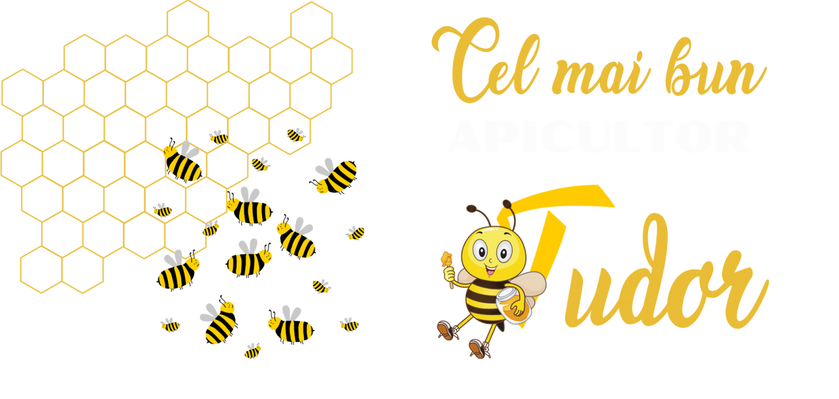 Cană cadou pentru apicultori cu albine  si miere, culoare neagra, eCADOU, CAP10001