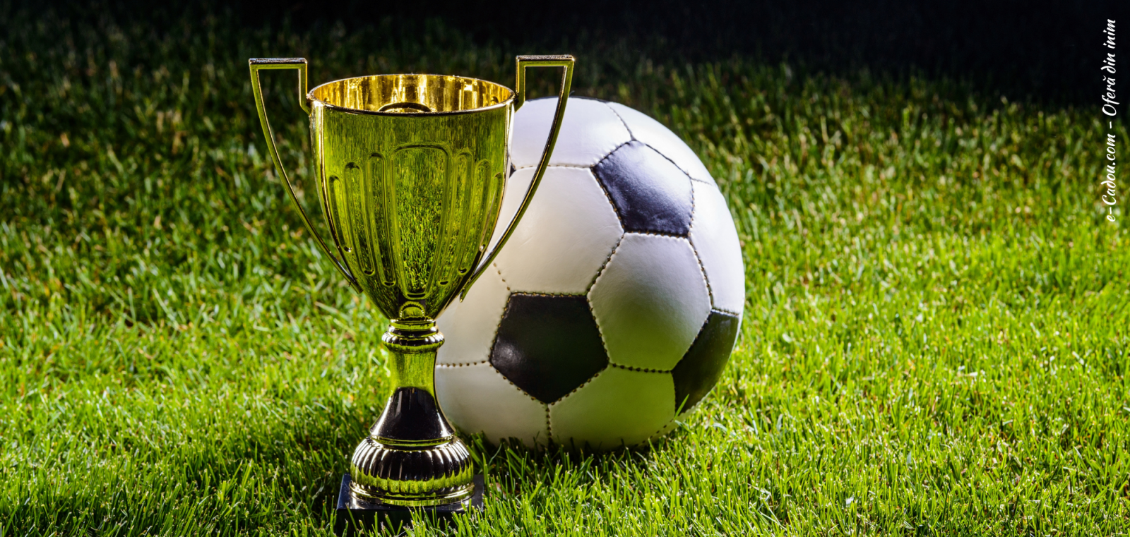 Cană personalizată fotbal cu poză și nume sau text CPF10006