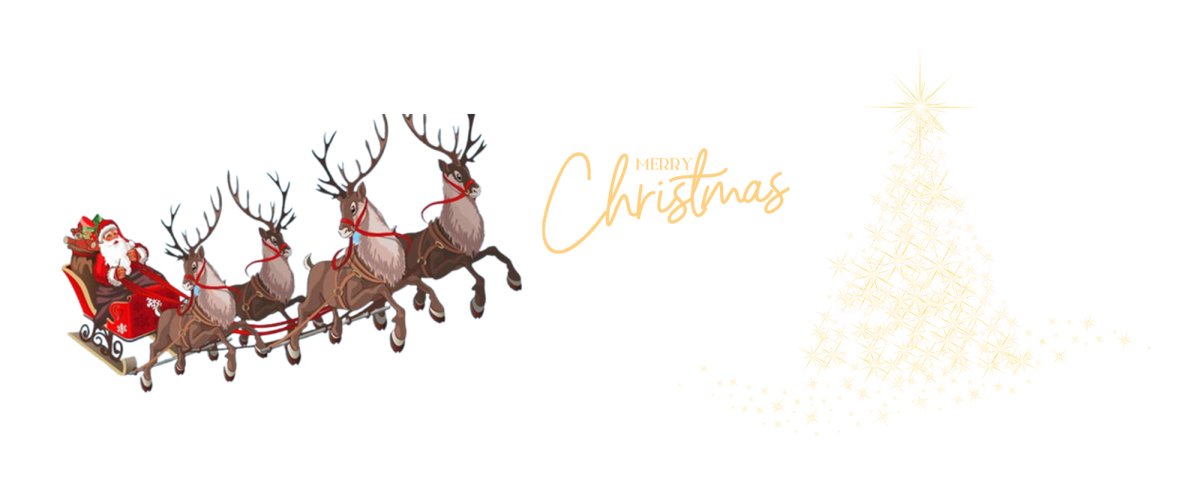 Cană personalizata  model Merry Christmas, tematica de Craciun CNMC1002