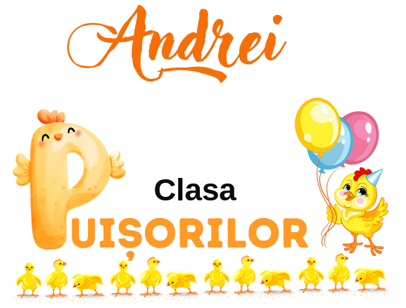 Tricou personalizat pentru absolvire  Grupa puisorilor cu text sau poze ABS1027