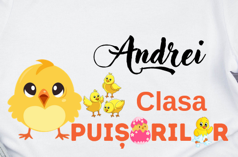 Tricou personalizat pentru absolvire  Grupa puisorilor cu text sau poze ABS1028