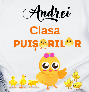 Tricou personalizat pentru absolvire  Grupa puisorilor cu text sau poze ABS1029